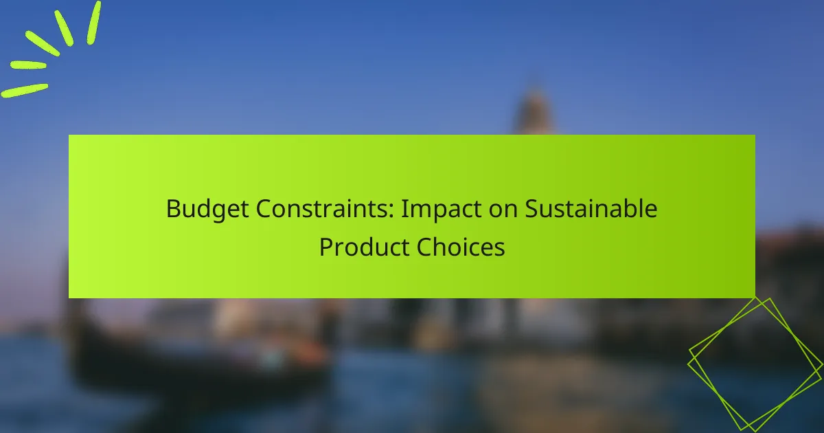 Budget Constraints: Impact on Sustainable Product Choices