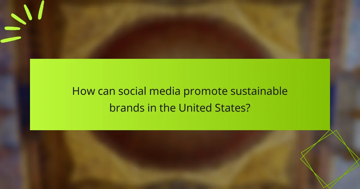 How can social media promote sustainable brands in the United States?