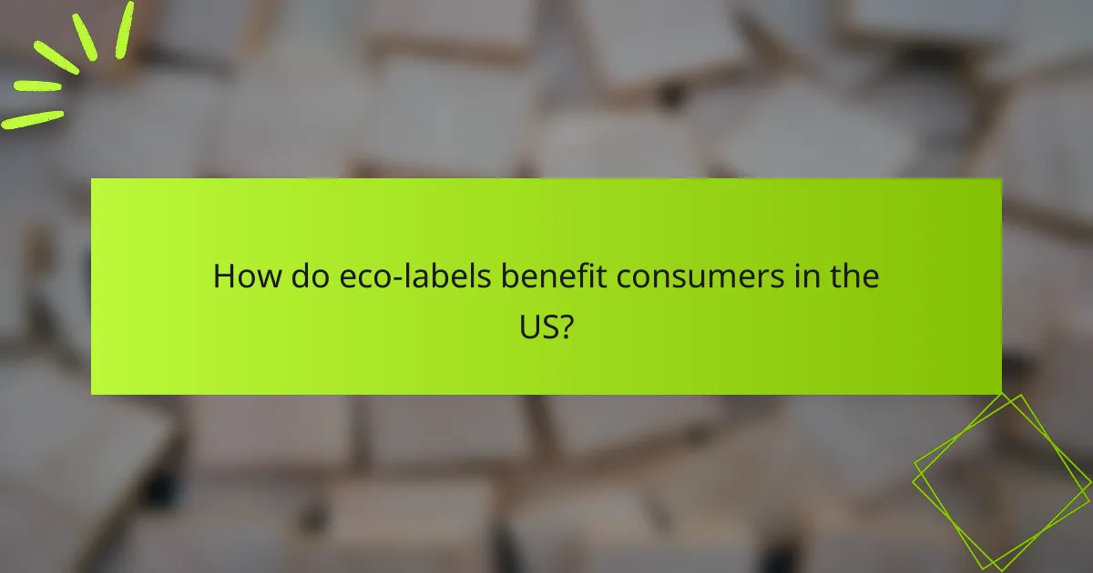 How do eco-labels benefit consumers in the US?