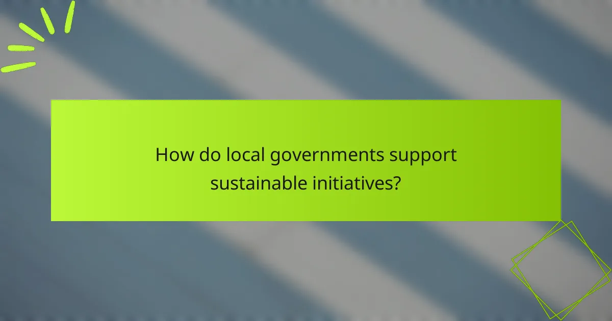 How do local governments support sustainable initiatives?