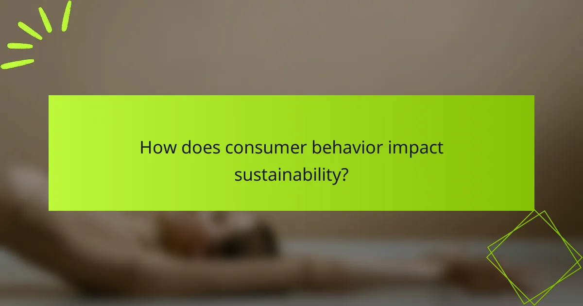 How does consumer behavior impact sustainability?