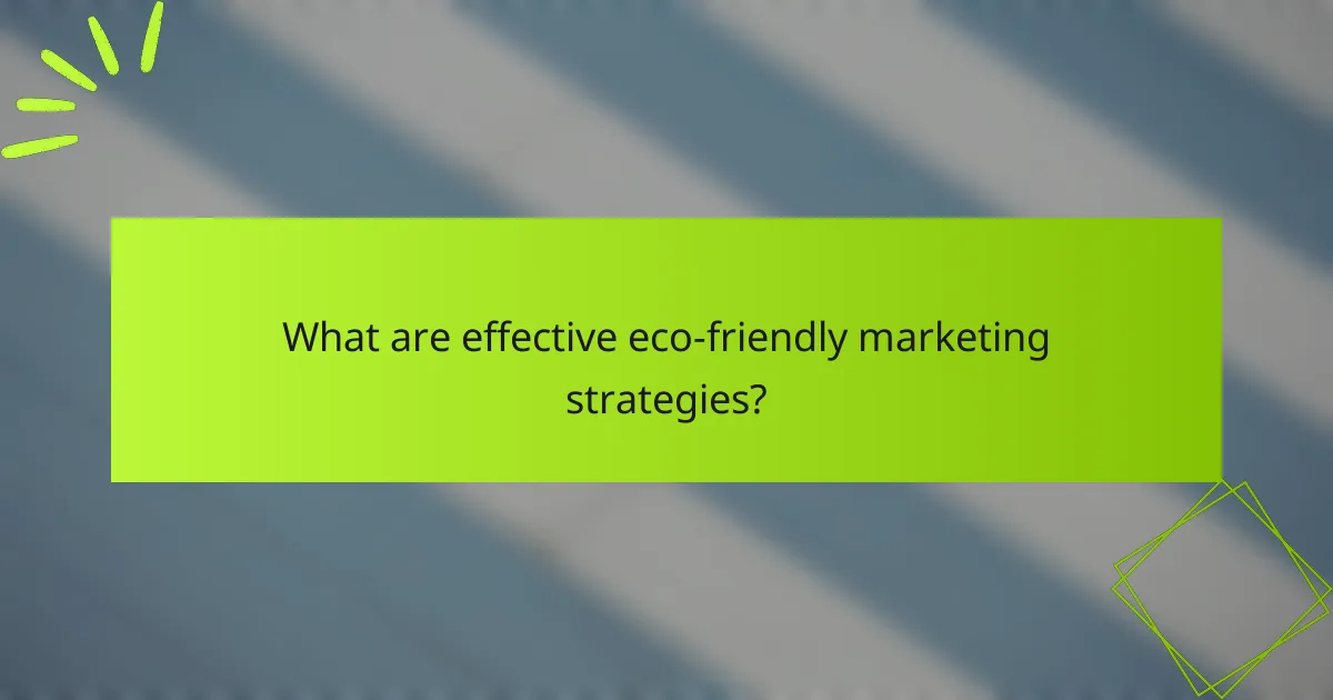 What are effective eco-friendly marketing strategies?