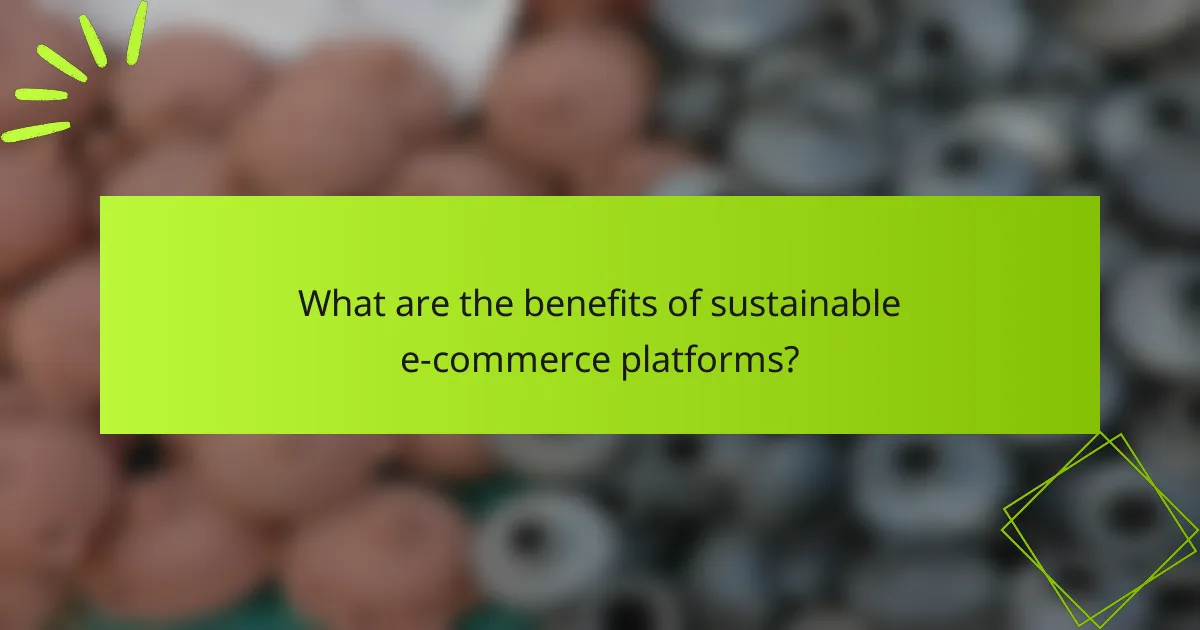 What are the benefits of sustainable e-commerce platforms?