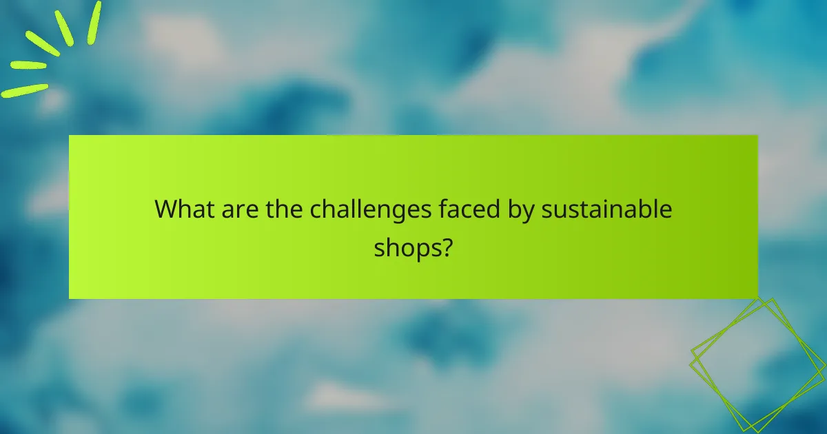 What are the challenges faced by sustainable shops?