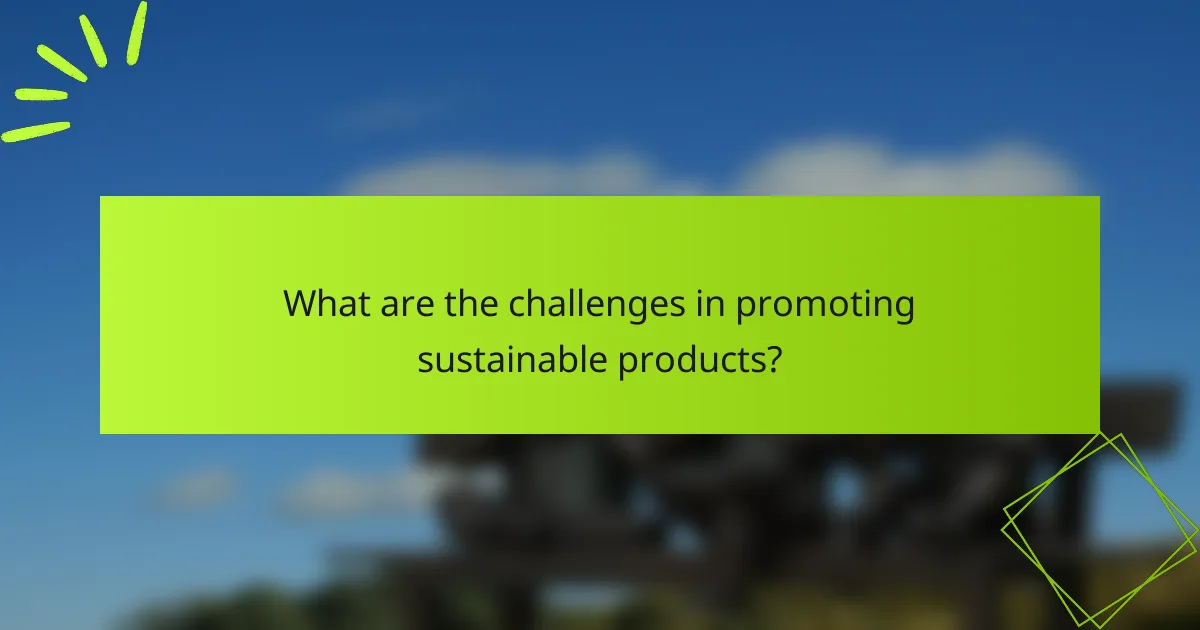 What are the challenges in promoting sustainable products?