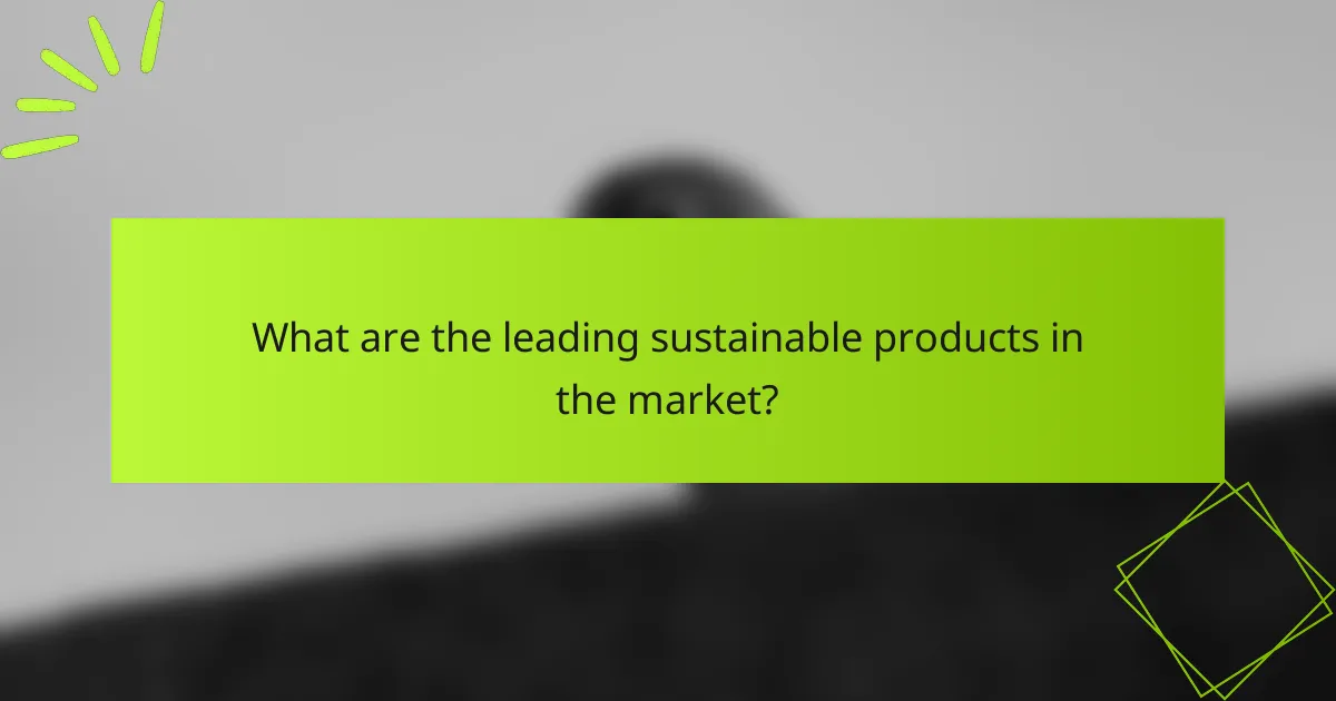 What are the leading sustainable products in the market?