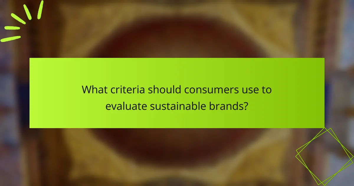 What criteria should consumers use to evaluate sustainable brands?