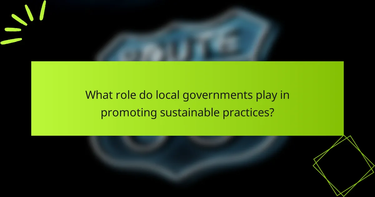 What role do local governments play in promoting sustainable practices?