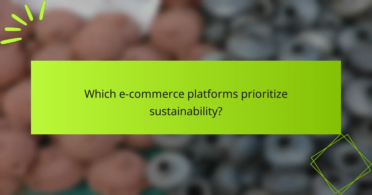 Which e-commerce platforms prioritize sustainability?